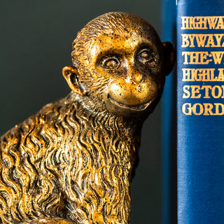 Golden Monkey Bookends