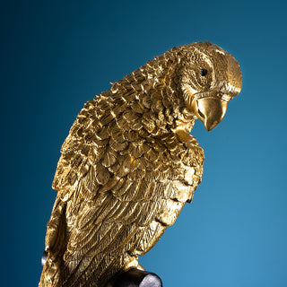 Gold Parrot on Perch