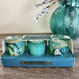 Set of 3 Tropical Mini Candles