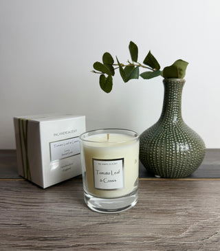 Incandescent Tomato Leaf and Cassis Scented Candle