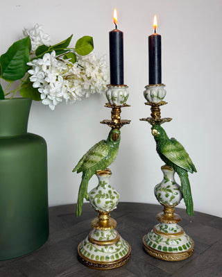 Green & White Parrot Candle Holders